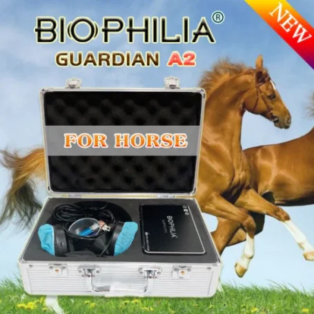 Bioresonanztherapie